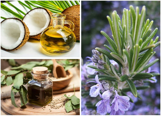 Get Your Dr. Natural On!