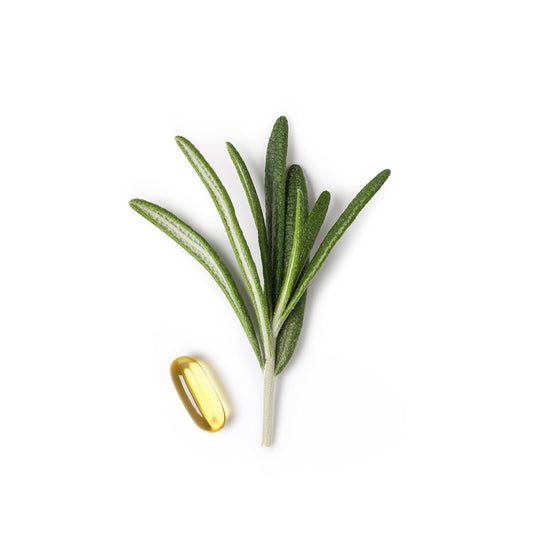 Rosemary Extract